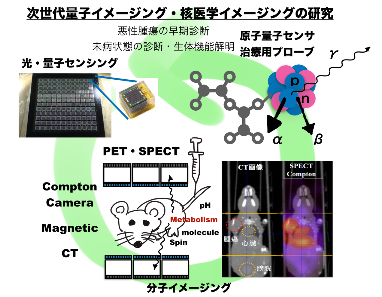 研究内容/Research | Quantum Medical Radiation Imaging